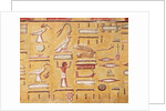 Hieroglyphics by Egyptian 19th Dynasty