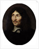 Portrait of Jean-Baptiste Colbert de Torcy by Claude Lefebvre