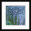 Waterlilies, 1916-19 by Claude Monet