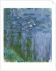 Waterlilies, 1916-19 by Claude Monet
