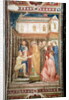 The Miracle of St. Stanislas from the Lower Church, c.1340 by Puccio and Stefano F. Capanna