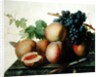Still Life with Peaches and Grapes on Marble by Jan Frans van Dael