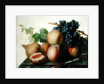 Still Life with Peaches and Grapes on Marble by Jan Frans van Dael