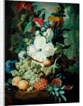 Fruits and Flowers by Jan van Os