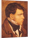 Portrait of a Young Man by Jean Auguste Dominique Ingres