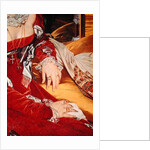 Madame de Senonnes by Jean Auguste Dominique Ingres