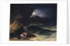 The Storm, or The Shipwreck by Theodore Gericault