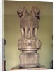 Lion capital from the Pillar of Emperor Ashoka 273-236 BC by Indian