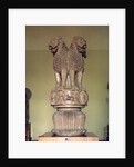 Lion capital from the Pillar of Emperor Ashoka 273-236 BC by Indian