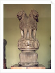Lion capital from the Pillar of Emperor Ashoka 273-236 BC by Indian