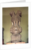 Lion capital from the Pillar of Emperor Ashoka 273-236 BC by Indian