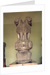 Lion capital from the Pillar of Emperor Ashoka 273-236 BC by Indian
