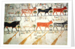 The seven celestial cows and the sacred bull and the four rudders of heaven by Egyptian 19th Dynasty