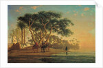 Arab Oasis, 1853 by Narcisse Berchere