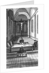 Inquisition Interrogation by School European