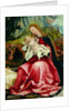 The Virgin and Child by Matthias Grunewald
