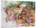 Laerte the Greyhound, 1894 by Berthe Morisot