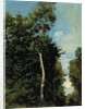 The Wood on the Cote de Grace in Honfleur by Jean Baptiste Camille Corot