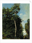 The Wood on the Cote de Grace in Honfleur by Jean Baptiste Camille Corot