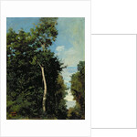 The Wood on the Cote de Grace in Honfleur by Jean Baptiste Camille Corot