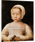 Young Girl with a Dead Bird, c.1500-25 by Flemish School