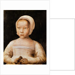 Young Girl with a Dead Bird, c.1500-25 by Flemish School