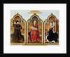 Triptych of Jean de Witte, 1473 by Flemish School