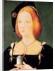 Portrait of Mary of England wife of Louis XII c.1514 by French School