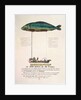 Poster advertising the subscription for a dirigible balloon in the shape of a fish by French School