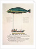 Poster advertising the subscription for a dirigible balloon in the shape of a fish by French School