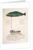 Poster advertising the subscription for a dirigible balloon in the shape of a fish by French School