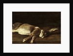 Still Life with a Hare, 1863 by Francois Bonvin