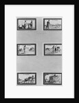 Six vignettes depicting the cultivation of cereals by French School
