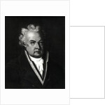 Louis Leon Felicite de Brancas Count of Lauraguais by French School