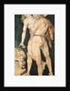 Hercules and Antaeus, c.1530 by Hans Baldung Grien