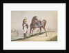 Dragoons of the French Imperial Army by French School