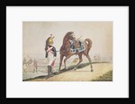 Dragoons of the French Imperial Army by French School