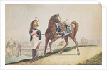 Dragoons of the French Imperial Army by French School
