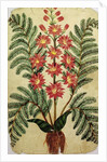 Fern with red and yellow flowers by French School