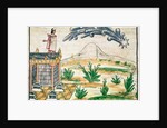 Montezuma II watching a comet, 1579 by Diego Duran