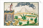 Montezuma II watching a comet, 1579 by Diego Duran