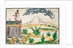 Montezuma II watching a comet, 1579 by Diego Duran