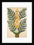 Fern with yellow flowers by French School