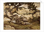 A Python Killing a Tiger by Antoine Louis Barye