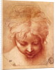 Study of a Head by Parmigianino