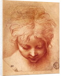 Study of a Head by Parmigianino