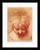 Study of a Head by Parmigianino