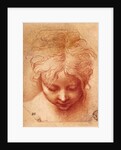 Study of a Head by Parmigianino