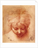 Study of a Head by Parmigianino