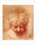 Study of a Head by Parmigianino